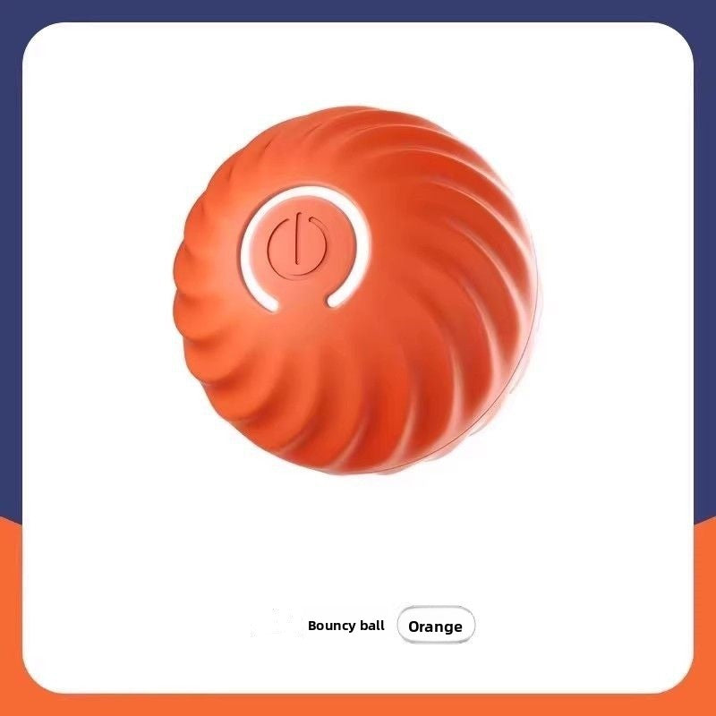 Electric pet toys