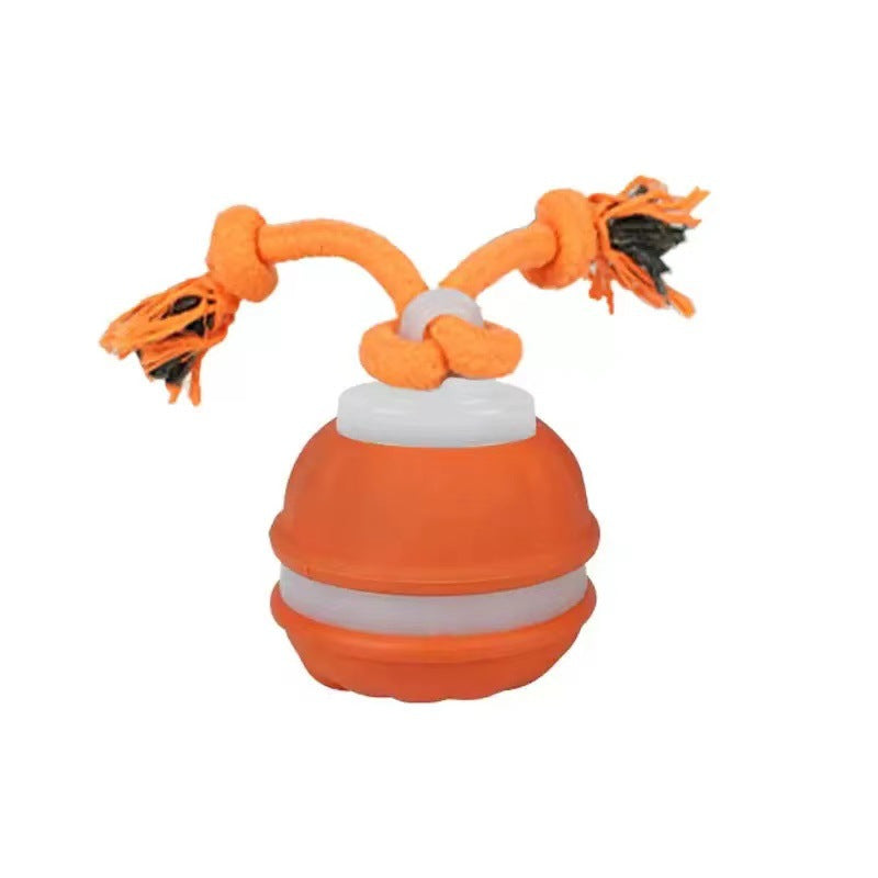 Electric pet toys