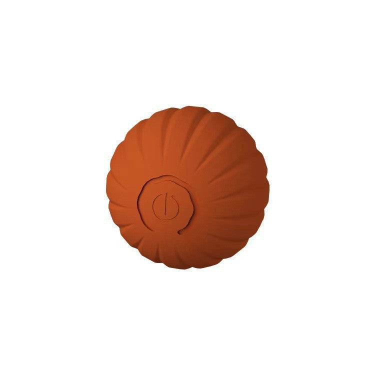 Electric pet toys