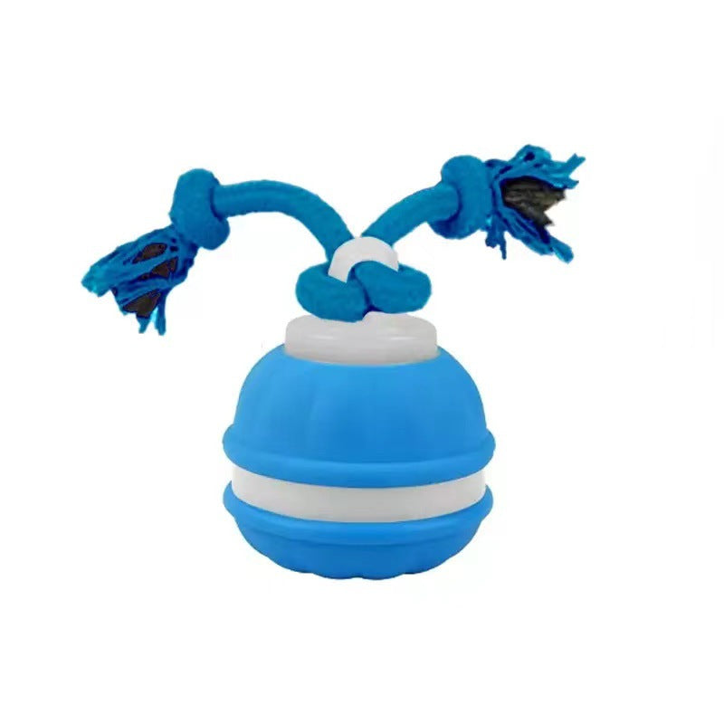 Electric pet toys