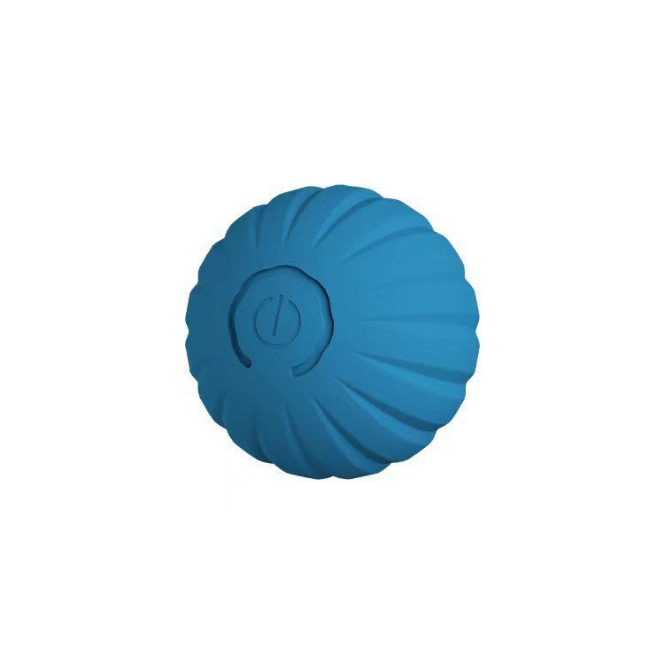 Electric pet toys